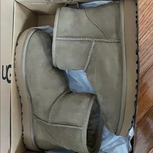 Uggs mini boots